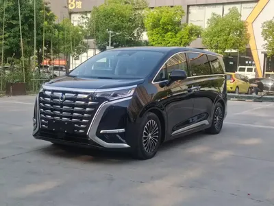 Denza Denza D9