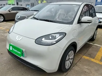 Wuling Bingo
