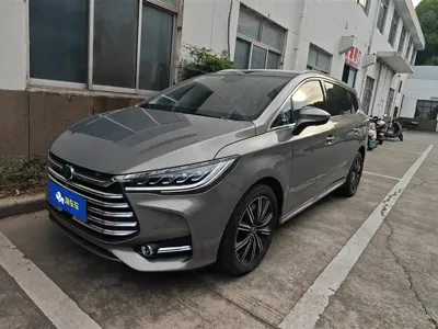 BYD MAX New Energy