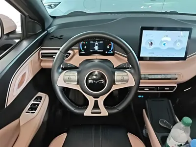 BYD Seagull