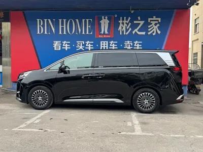 Denza Denza D9