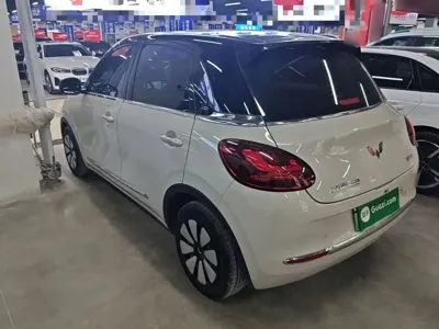 Wuling Bingo
