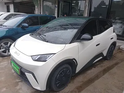 BYD Seagull