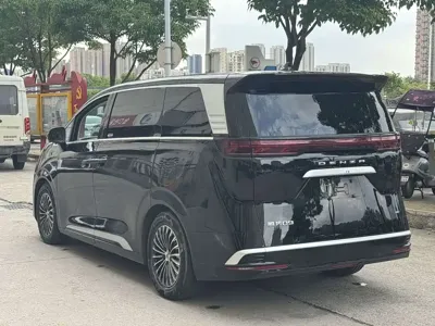 Denza Denza D9