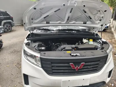Wuling Hongguang Plus