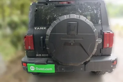 Tank 300