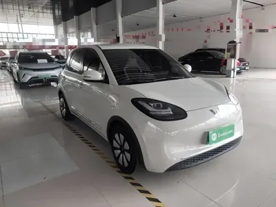 Wuling Bingo