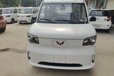 Wuling Zhiguang New Energy