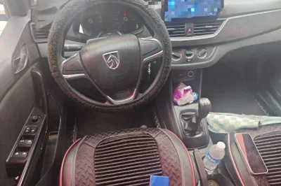 Baojun 310