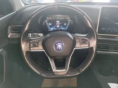 BYD Pro