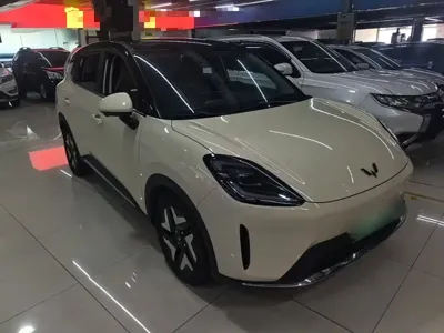 Wuling 缤果S