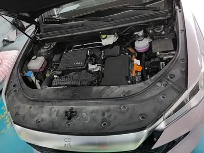 BYD Pro New Energy