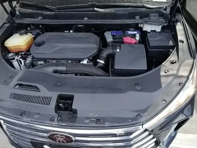BYD MAX