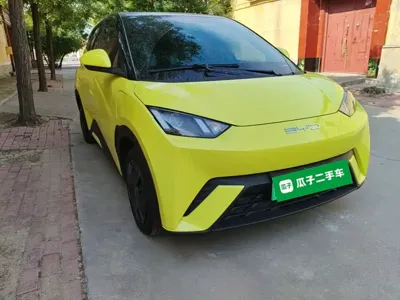 BYD Seagull