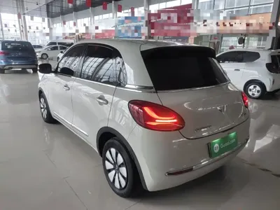 Wuling Bingo