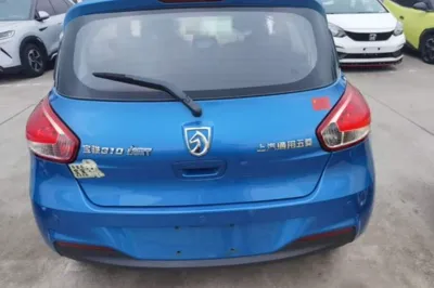Baojun 310