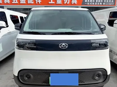 Maxus V1