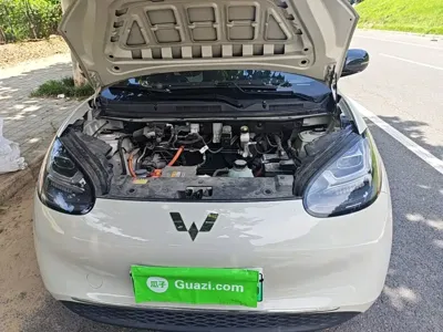 Wuling Bingo