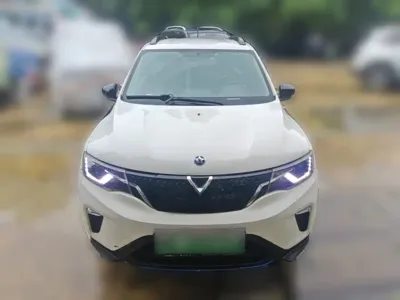 Venucia e30