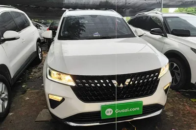 Wuling Alvez