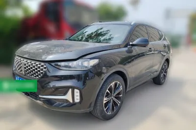 WEY VV6