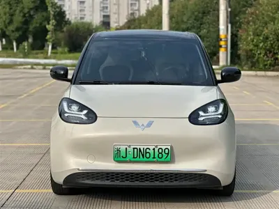 Wuling Bingo