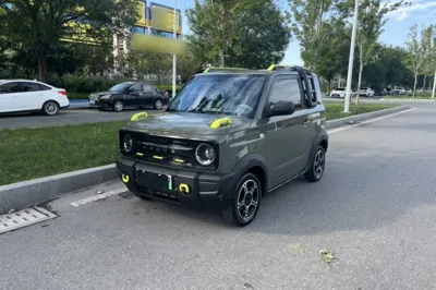 Geely Galaxy Panda