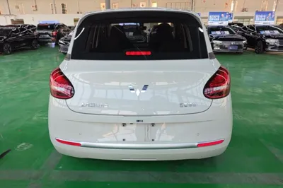 Wuling Bingo