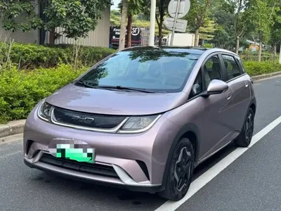 BYD Dolphin