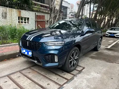 WEY Wey VV7