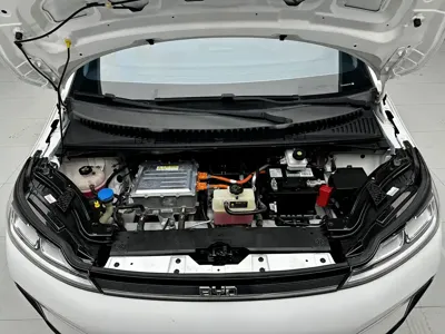 BYD D1