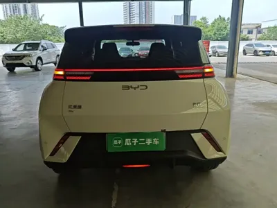 BYD Seagull