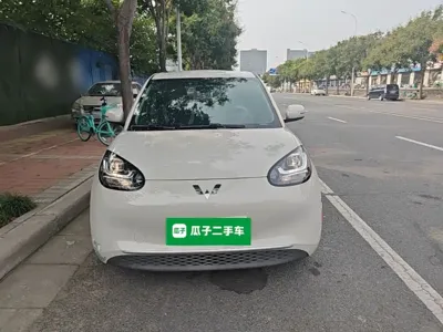 Wuling Bingo