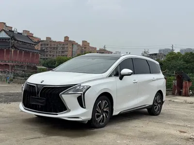 Fengxing Fengxing Yacht