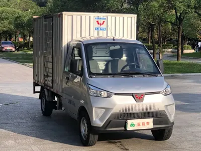 Wuling 五菱电卡