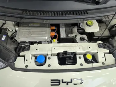 BYD Seagull