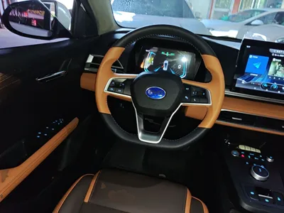 BYD e2