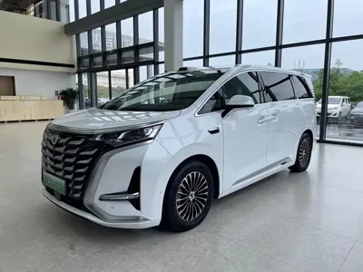 Denza Denza D9