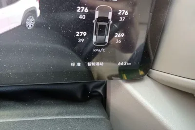 Haval H Dog New Energy
