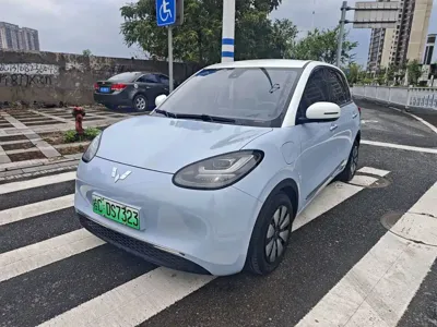 Wuling Bingo