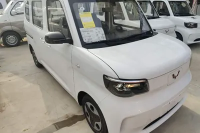 Wuling Zhiguang New Energy