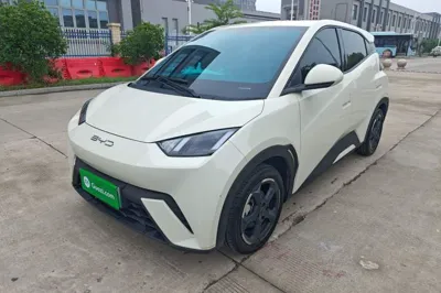 BYD Seagull