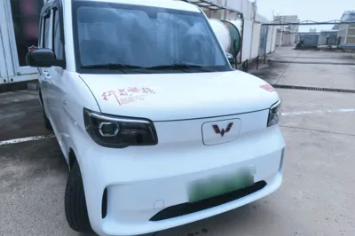 Wuling Zhiguang New Energy