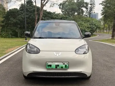 Wuling Bingo