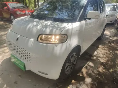 ORA Ora White Cat