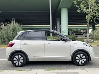 Wuling Bingo