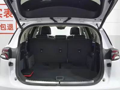 BYD Tang New Energy