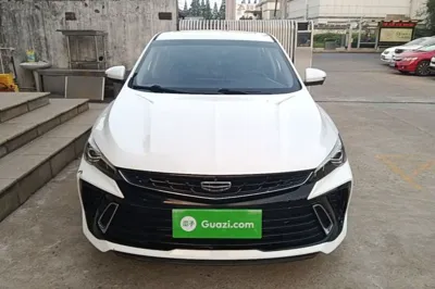 Geely Auto Binray