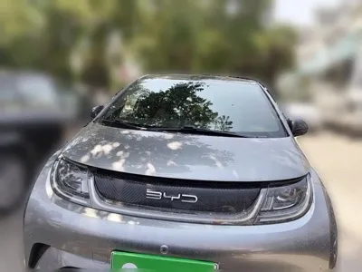 BYD Dolphin