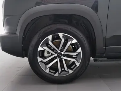 Haval Big Dog